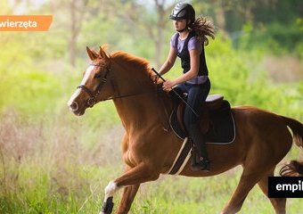 10 powodów by nauczyć się jeździć konno