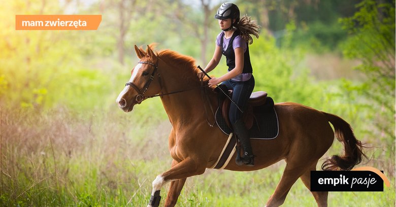 10 powodów by nauczyć się jeździć konno