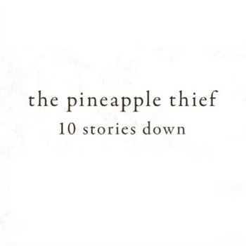10 Stories Down - The Pineapple Thief