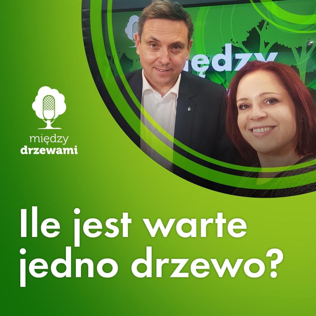 100 Ile jest warte jedno drzewo? [dr Michał Orzechowski, SGGW