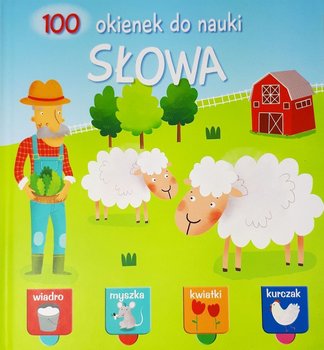 100 okienek do nauki. Słowa - Opracowanie zbiorowe