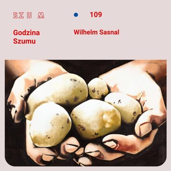 #109 Wilhelm Sasnal o własnej twórczości filmowej - Godzina Szumu - podcast - Plinta Karolina