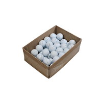 10x LAKEBALLS Titleist Pro V1 / Pro V1x kat. A/B - używane piłki golfowe BIAŁE Inna marka