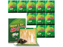 10X Lep Na Myszy Pułapka Klejowa Gryzonie 31X21 Zestaw Xxl 10Szt