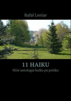 11 Haiku - Leniar Rafał