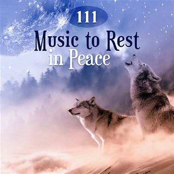 111 Music to Rest in Peace: Songs & Nature Sounds for Deep Sleep, White Noise for Dreaming, Celtic Harp Music, Health, Vitality & Relax the Mind - Peaceful Sleep Music Collection