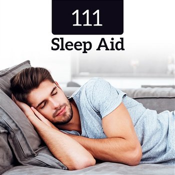 111 Sleep Aid: Excellent Cure for Insomnia & Trouble Sleeping, Relax, Serenity & Calmness - Restfull Sleep Music Collection