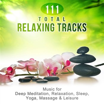111 Total Relaxing Tracks: Music for Deep Meditation, Relaxation, Sleep, Yoga, Massage & Leisure, Soothing Nature Sounds for Reiki & SPA - Relaxation Meditation Academy