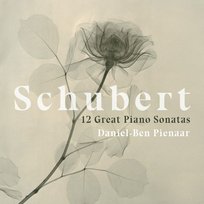 12 Great Piano Sonatas Pienaar Daniel-Ben