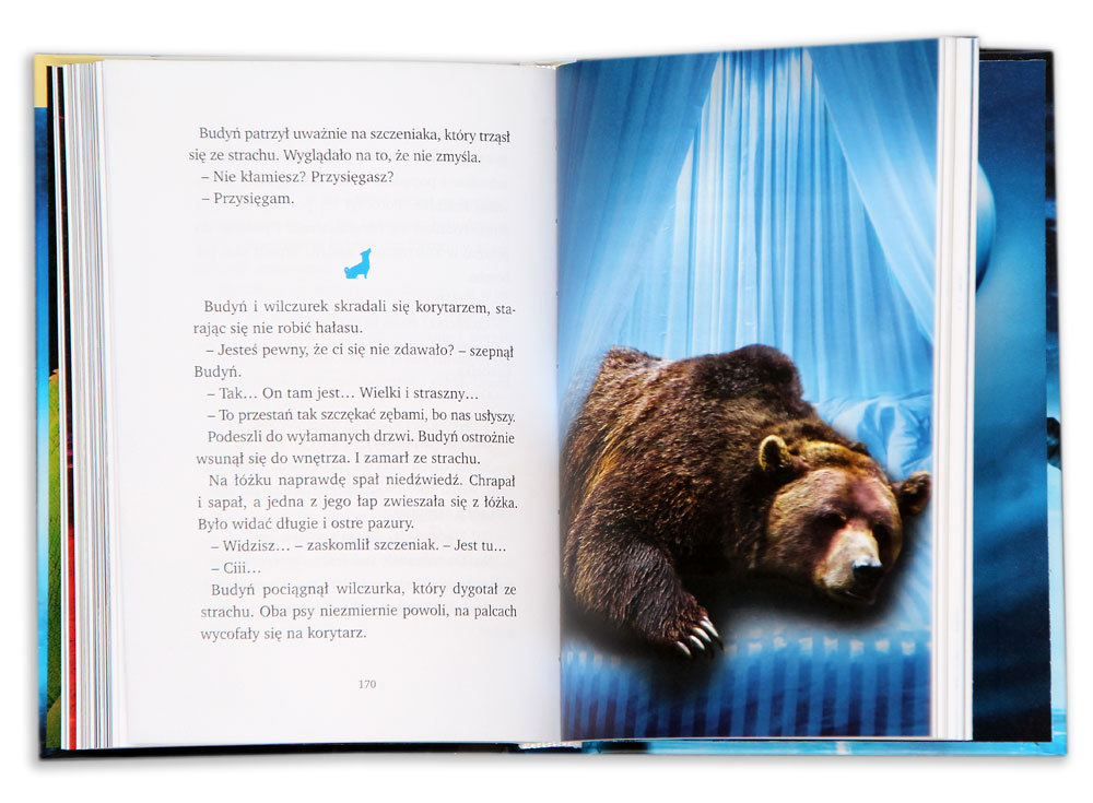 Bohaterowie Magicznego Drzewa. Porwanie - Maleszka Andrzej | Książka w