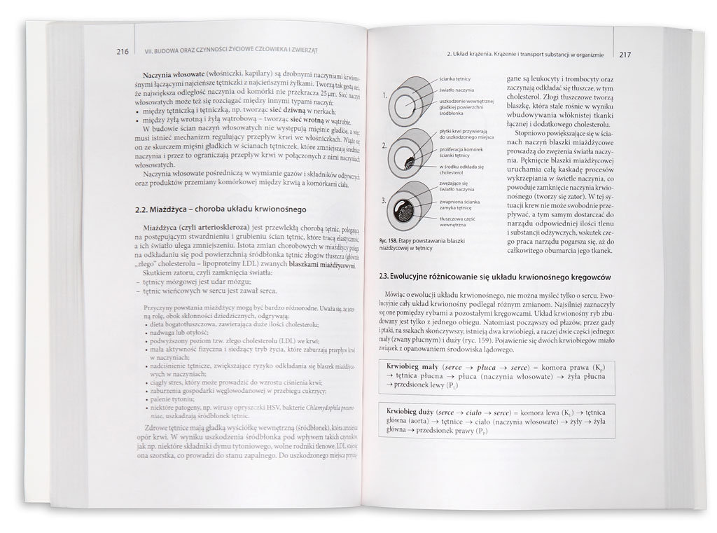 Ewa Pyłka Gutowska Vademecum Pdf Vademecum maturzysty. Biologia - Pyłka-Gutowska Ewa | Książka w Sklepie