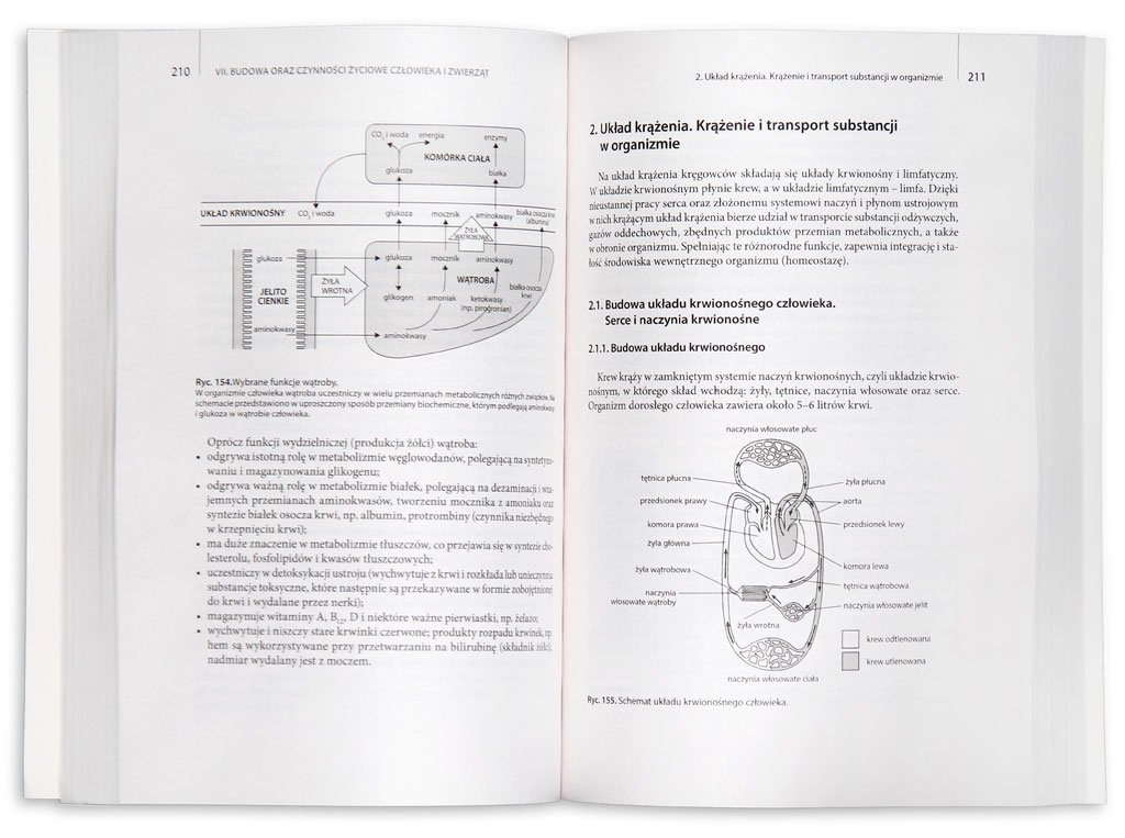 Ewa Pyłka Gutowska Vademecum Pdf Vademecum maturzysty. Biologia - Pyłka-Gutowska Ewa | Książka w Sklepie