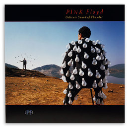 洋楽 Pink Floyd Electric Magic (tarantura) Delicate Sound Of Thunder, płyta winylowa - Pink Floyd