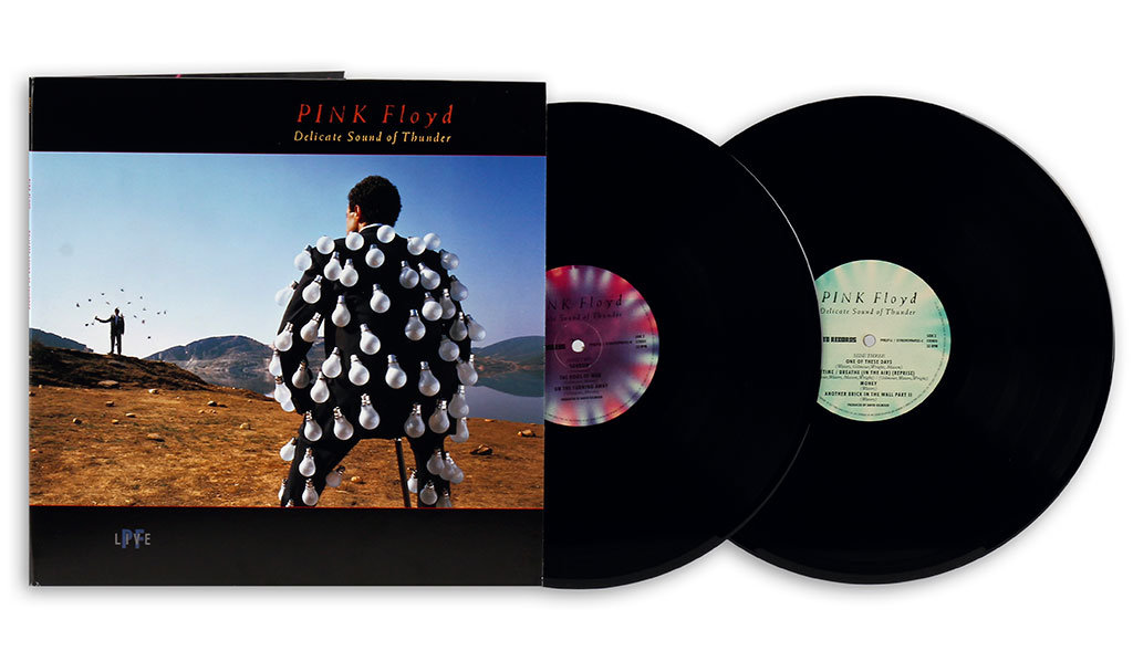 Delicate Sound Of Thunder, płyta winylowa - Pink Floyd