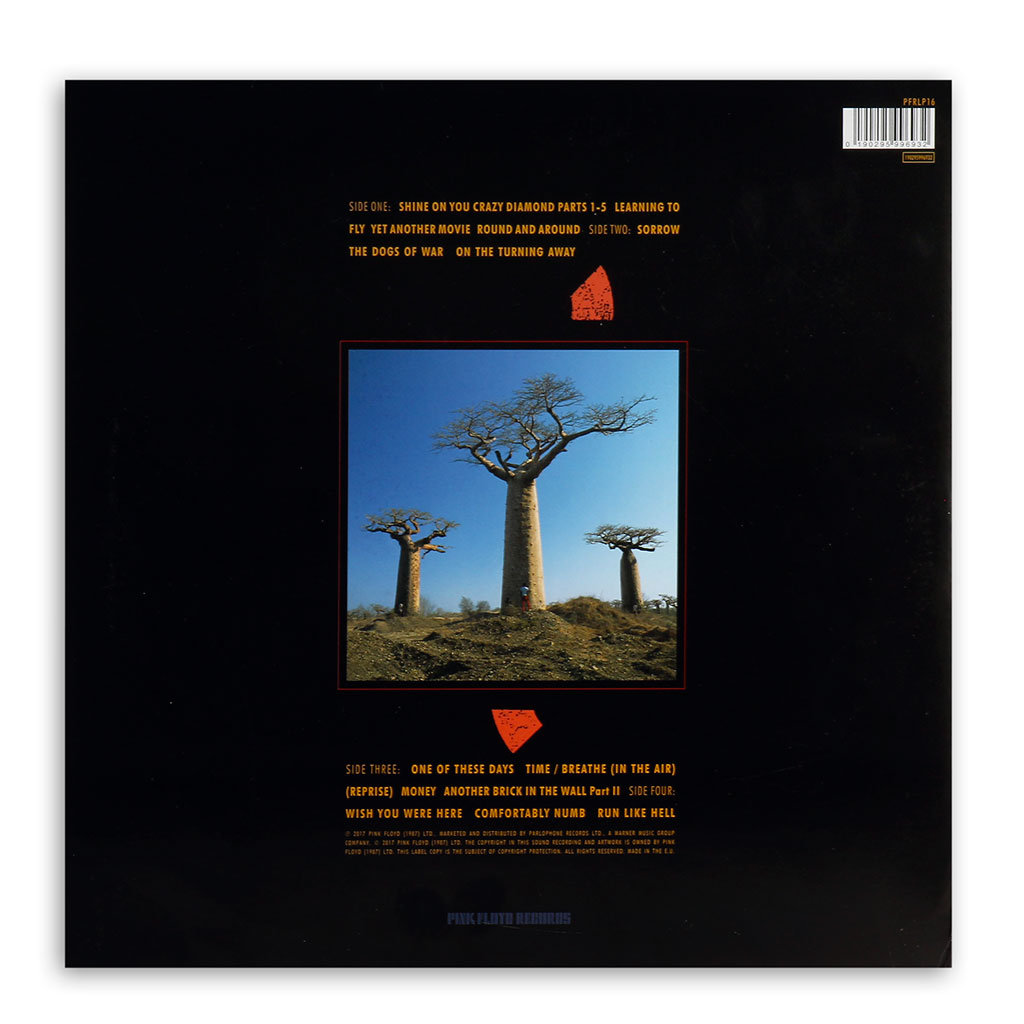 Delicate Sound Of Thunder, płyta winylowa - Pink Floyd