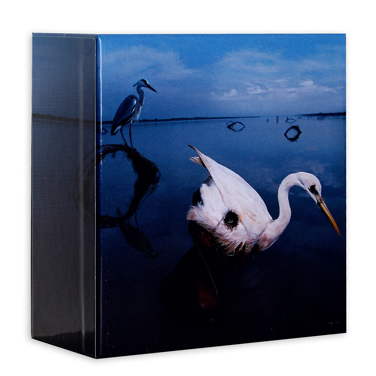 Box: Kate Bush. Part II (Remastered) - Bush Kate | Muzyka