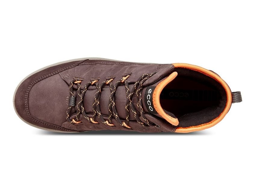 Ecco, Buty trekkingowe damskie, Aspina, bordowy, rozmiar 35 Ecco, Buty trekkingowe damskie, Aspina, brązowy, rozmiar 35
