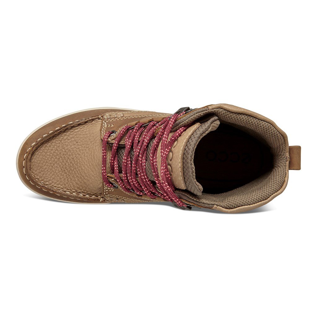 Ecco, Buty trekkingowe damskie, Track 25, rozmiar 38 Ecco, Buty trekkingowe damskie, Track 25, rozmiar 38