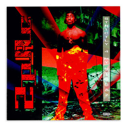 15605168861603599-jpg-gallery.