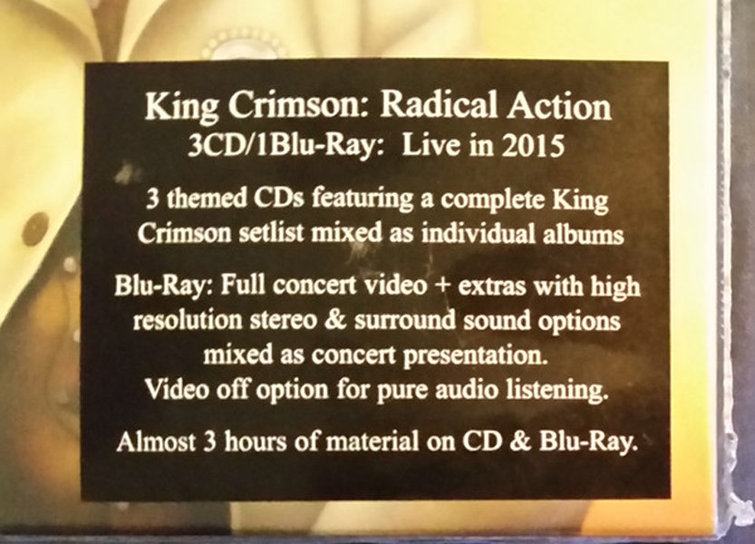 Radical Action To Unseat The Hold Of Monkey Mind - King