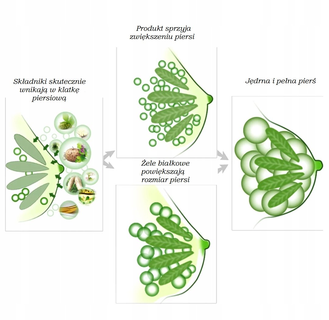 OMY LADY NATURALNY KREM DO PIELĘGNACJI BIUSTU POWIĘKSZAJĄCY BIUST 100g OMY LADY BREAST