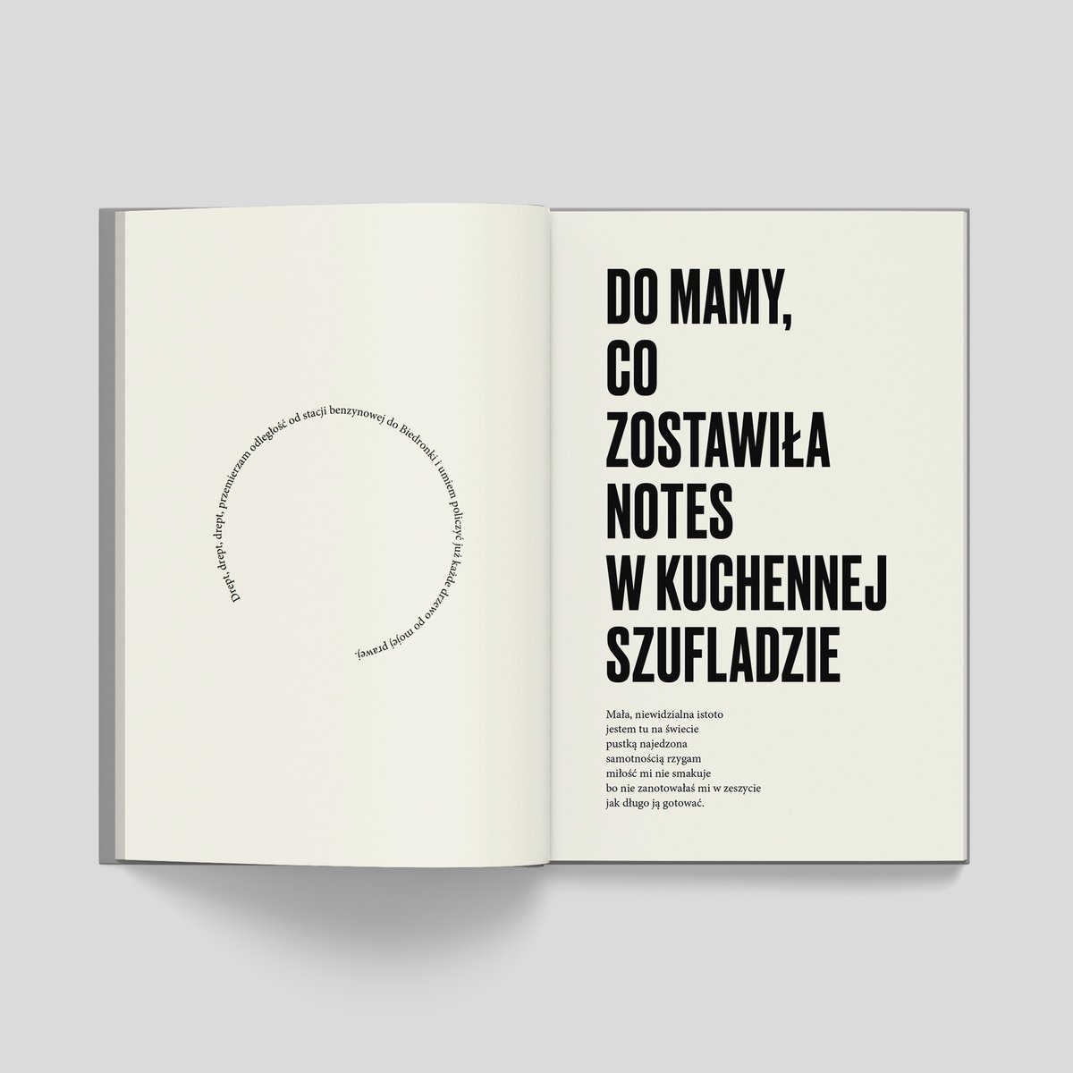 Jestem Marysia i chyba się zabiję dzisiaj - Mery Spolsky | Książka w