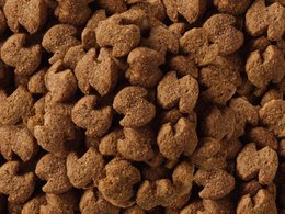 eukanuba german shepherd 12kg