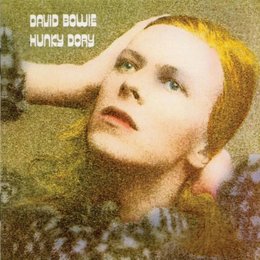 Hunky Dory (2015 Remaster) [VINYL]: Amazon.co.uk: CDs & Vinyl