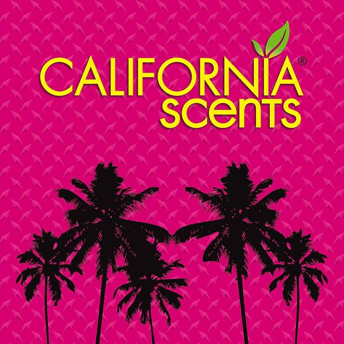 CALIFORNIA CAR SCENTS zapach MĘSKICH PERFUM ICE - California
