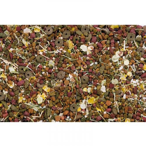 Versele-laga Complete Crock 2kg Rat Food Multicolor