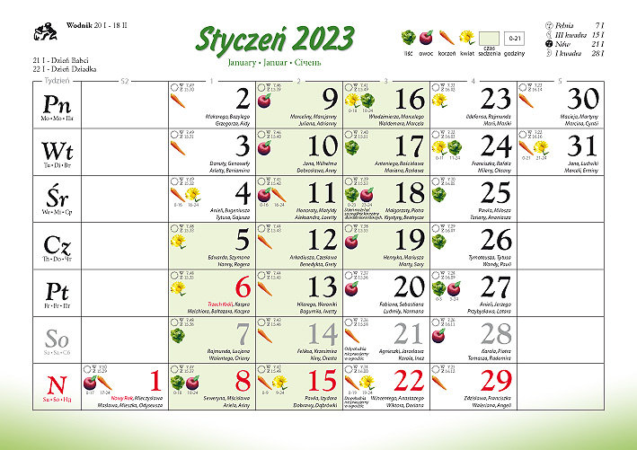 Kalendarz ścienny Rodzinny 2023 Ogródki Przydomowe Sklep Empikcom 0809