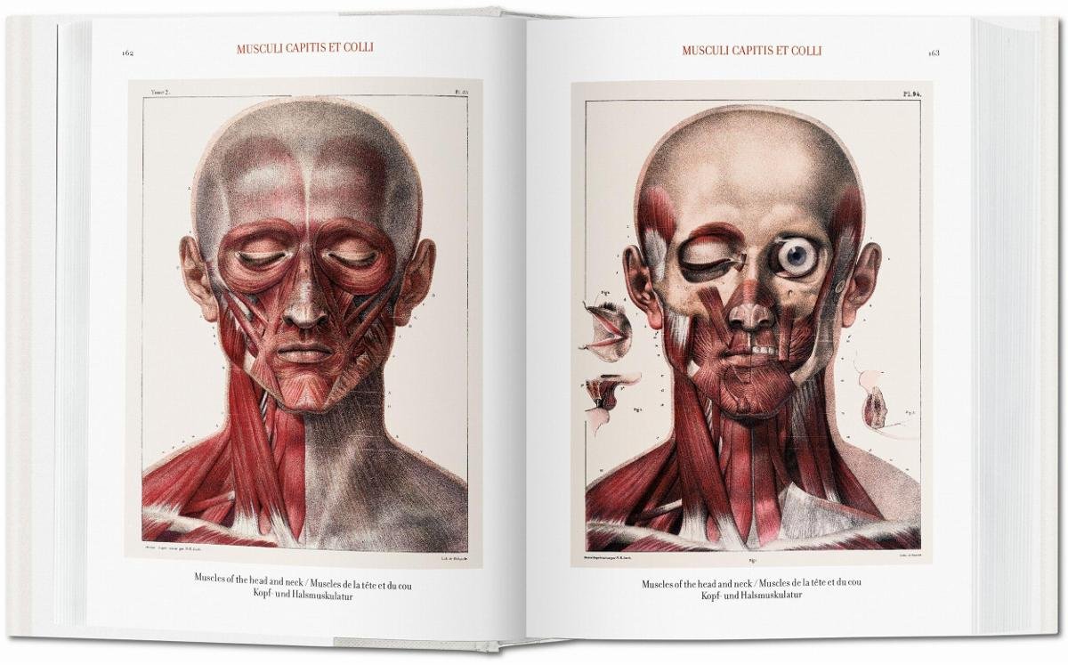 健康・医学 atlas of human anatomy and surgery The Complete Atlas of Human Anatomy and Surgery