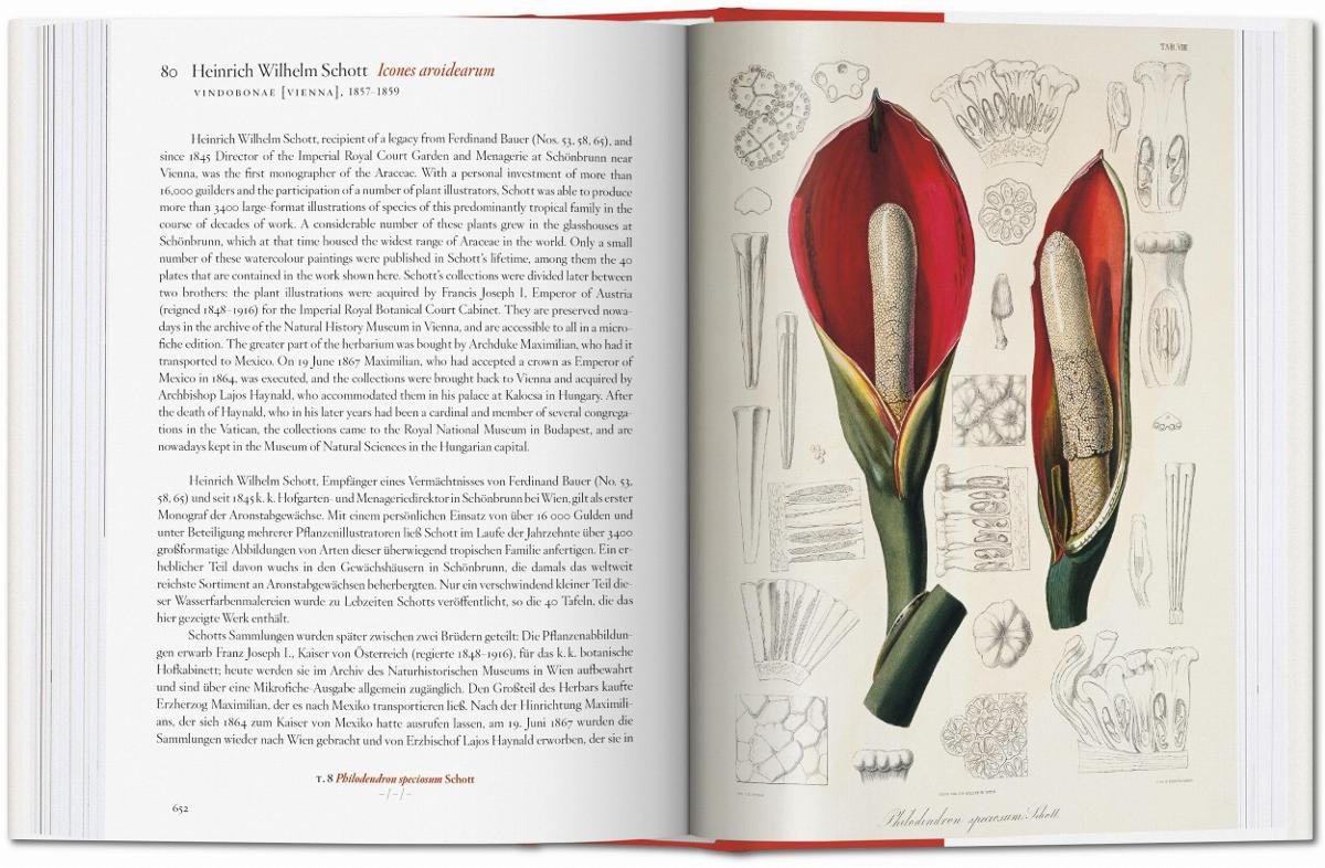 A Garden Eden. Masterpieces of Botanical Illustration. 40th