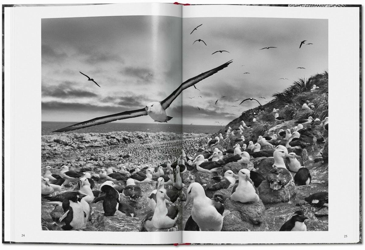 Sebastiao Salgado. Genesis - Salgado Sebastiao | Książka w Empik