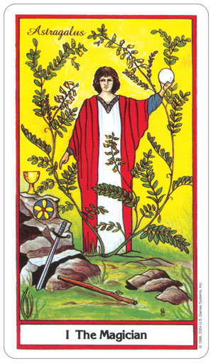 The Herbal Tarot - U.S. GAMES SYSTEMS | Sklep EMPIK.COM