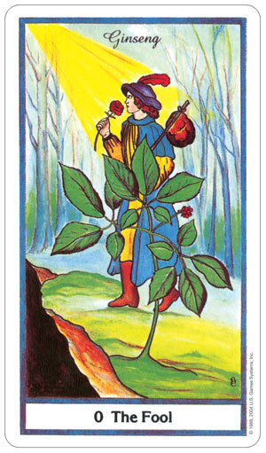 The Herbal Tarot - U.S. GAMES SYSTEMS | Sklep EMPIK.COM