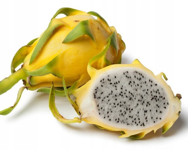 KAKTUS TA PITAJA SMOCZY OWOC HYLOCEREUS 3 NASIO - DobreNasiona.pl |  Sklep EMPIK.COM