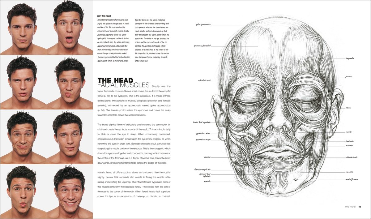 Anatomy for the Artist - Simblet Sarah | Książka w Empik