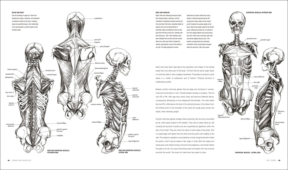 Anatomy for the Artist - Simblet Sarah | Książka w Empik