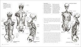 Anatomy for the Artist - Simblet Sarah | Książka w Empik