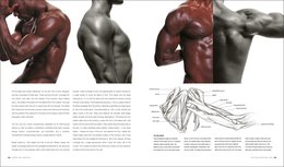 Anatomy for the Artist - Simblet Sarah | Książka w Empik