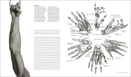 Anatomy for the Artist - Simblet Sarah | Książka w Empik