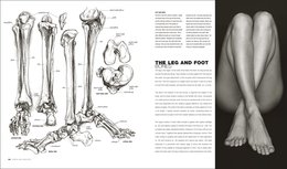 洋書 Anatomy for the Artist / Sarah Simblet Amazon | Anatomy for the Artist (Practical Art) | Simblet