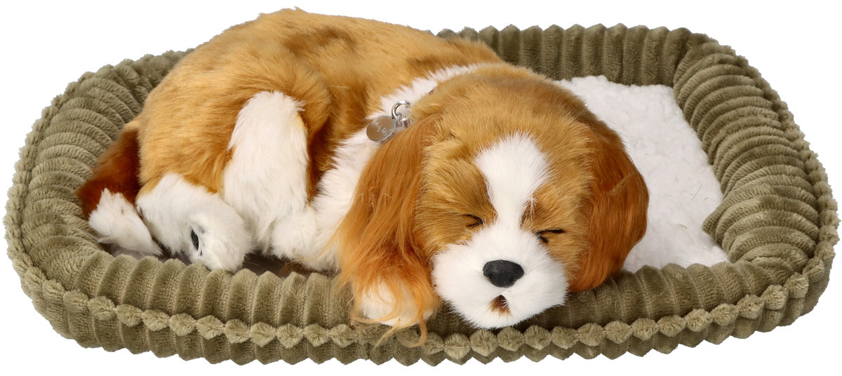 Cavalier King Charles Mini Petzzz - LUIRÈ Cavalier King Charles Mini Petzzz - LUIRÈ
