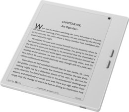 BOOX GO 7 ホワイト BOOX Go7 – SKT株式会社