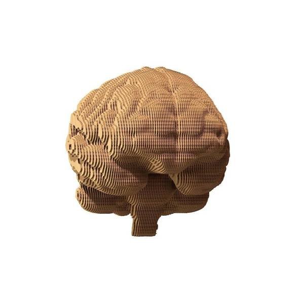 Zdjęcia - Puzzle 3D Brain 1DEA.me,   Cartonic 