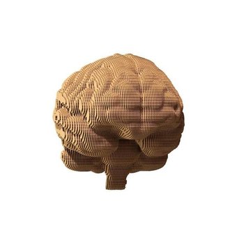 1DEA.me, Puzzle 3D Brain Cartonic - 1DEA.me