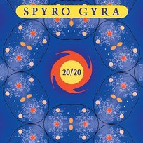 20/20 Spyro Gyra