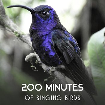 200 Minutes of Singing Birds – Best Nature Sounds for Relaxation, Calming Music from Garden & Forest, Reach Peace of Mind, Stress Relief - Harmony Nature Sounds Academy