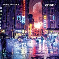 2050 EP Peja, Magiera, Slums Attack